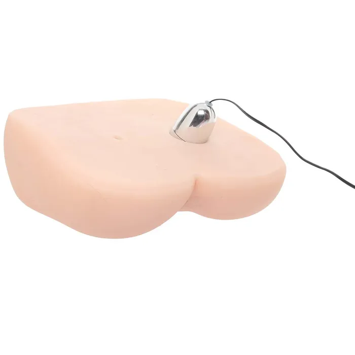 Electric Eel Male Sex Toys Sasha Grey Spread Open Vibrating Pussy Ass